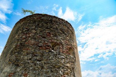 Yazın Ruine Raipoltenbach 'ı seyret