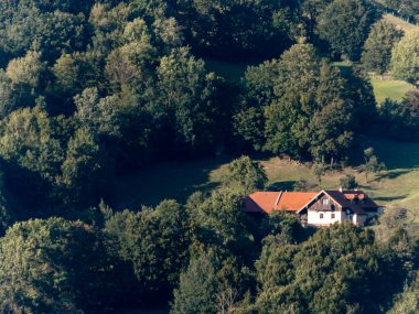 Yaz aylarında Aşağı Avusturya 'daki Traisen Parkı yakınlarında doğa manzarası