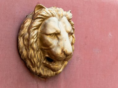 Viyana, Avusturya - 17 Eylül 2024: Viyana 'daki mimari ve dekorasyonların fotoğrafları