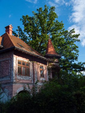 Aşağı Avusturya 'daki küçük kasabaların sokaklarına ve doğasına bakın.