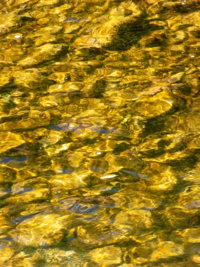 Nehirdeki su taşkını dokusu