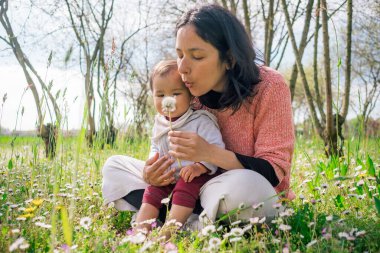 Güneşli bir bahar gününde çiçek ve papatya toplayan anne ve kız çocuğu. Annelik kavramı ve doğada birlikte vakit geçirme kavramı.