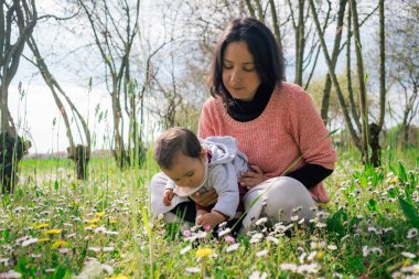 Güneşli bir bahar gününde çiçek ve papatya toplayan anne ve kız çocuğu. Annelik kavramı ve doğada birlikte vakit geçirme kavramı.