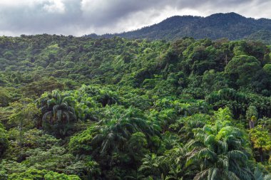 Venezuela 'daki el değmemiş tropikal ormanın havadan görünüşü tepeler ve yemyeşil yağmur ormanları Amazon ormanlarındaki bulutlu karamsar ve sisli gökyüzü..