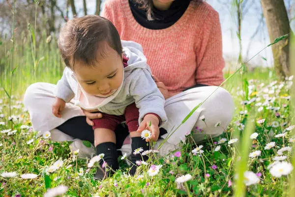 Güneşli bir bahar gününde çiçek ve papatya toplayan anne ve kız çocuğu. Annelik kavramı ve doğada birlikte vakit geçirme kavramı.