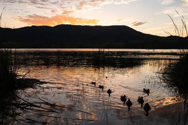 stock image Beautiful reflections at the Banyoles lake at sunset. Calm lake water at dusE at Wstany de Banyoles. Concept of peaceful and relaxing nature