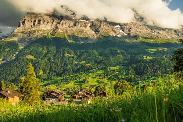 stock image Beautiful Grindelwald valley view at sunset from the woods and summer Swiss Alps mountains with green meadows, wooden chalets on green fields and mount Eiger, Switzerland.