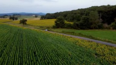 Gün batımında Fransız kırsalında ayçiçeği tarlalarından geçen arabanın hava izleme görüntüsü. Sinema insansız hava aracı takibi küçük köye giden arabayı takip ediyor.