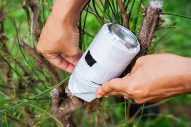 Ev yapımı iğne deliği kamerası ya da stenopeik kamera, teneke kutuyla yapılmış ve doğaya yerleştirilmiş. Fotoğraf makinesi deneyi yap