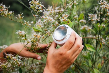 homemade pinhole camera or stenopeic camera, made with a can and installed in nature. Diy photographic camera experiment clipart