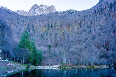 Bethmale lake landscape during winter. Small lake in the Pyrenees mountains clipart