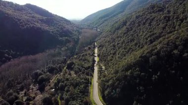 Ormandaki bir dağ vadisinde arabanın sinematik görüntüsü. İspanya 'nın Montseny dağlarında doğa gezisi