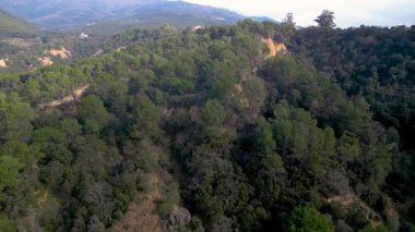 Güneşli bir günde açık mavi gökyüzü ile Montseny Vadisi 'nin dağlı ve gür yeşil ormanlı insansız hava aracı manzarası. İspanya 'da Katalonya' nın hava manzarası