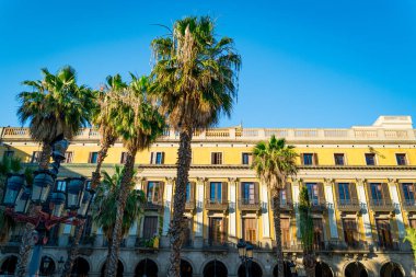Plaza Real Barcelona, modern mimarisi olan İspanya 'nın turistik merkezi.