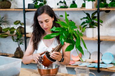 Genç bir kadın çiçekçide kokedamalar yapıyor. Çiçekçi dükkanındaki girişimci kadın, küçük işletme sahibi.