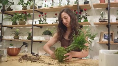 Çiçekçide kokedama yapan genç bir kadın. Çiçekçi dükkanındaki girişimci kadın, küçük işletme sahibi hobi ve işçilik yapıyor.