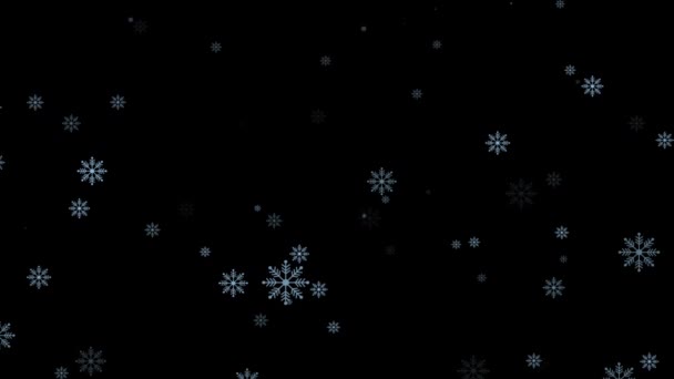 White Colored Snowflake Falling Christmas Xmas Winter Background Animation 2024 — Stock Video