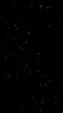 Yeşil Renk, Turkuaz, Hipersürücü Döngüsü, Teknoloji merkezli Zoom Hareketi, Neon Geometrik Parıltı, LED, Dinamik Uzay Çizgileri