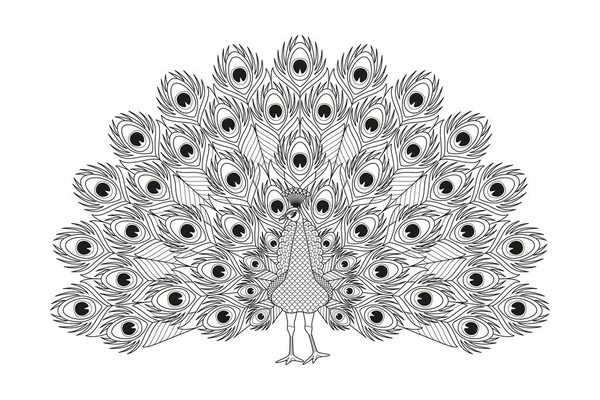 นกย งประด นกท สวยงามท — ภาพเวกเตอร์สต็อก