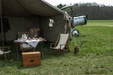 Yeşil çimlerin arka planında bir kupa ve bir kupa olan eski moda antika bir çadır..