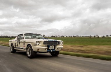 Ford Mustang Mustang yolda.