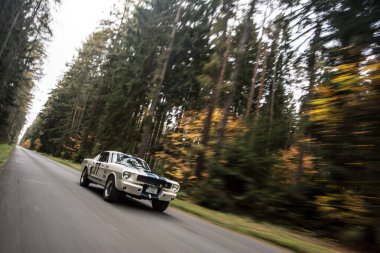 Ormandaki eski araba.