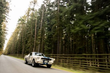 ormanda araba sürüş