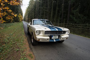 Orman yolundaki retro araba, sonbahar manzarası.