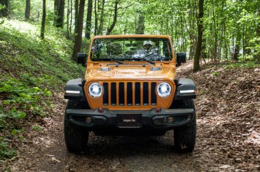 Ormandaki sarı bir cipin dikey görüntüsü.