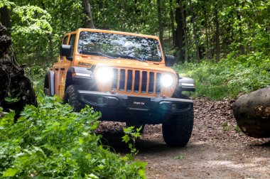 Ormanda büyük bir cip.