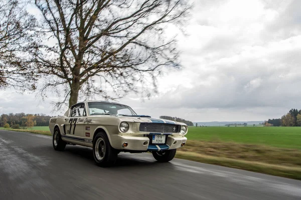 Ford Mustang Sur Une Voiture Rétro Dans Forêt — Photo