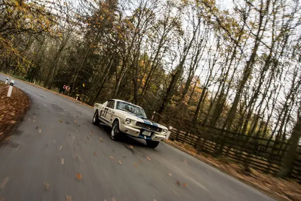 森の中の白い車 — ストック写真