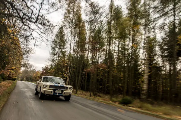 Старый Винтажный Автомобиль Лесу — стоковое фото