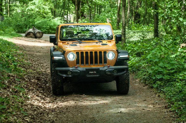 Jeep Forest — Stock Photo, Image
