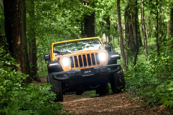 Jeep Forest Sunny Day Evening — Stock Photo, Image