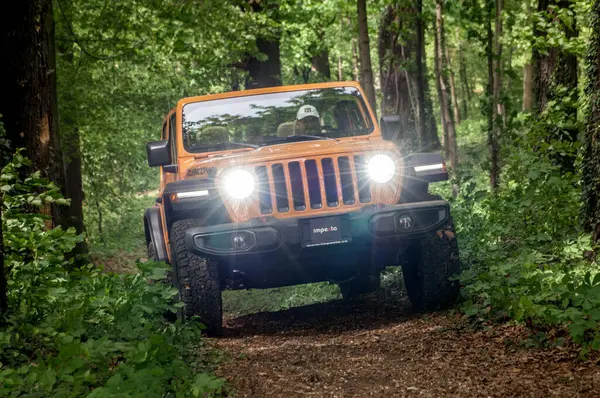 Una Jeep Sta Guidando Nella Foresta — Foto Stock