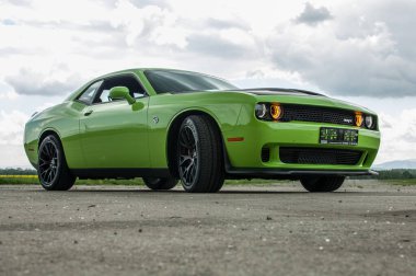 ford mustang gt mustang