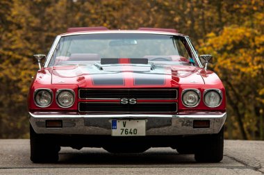 Ford Mustang Mustang sergileniyor