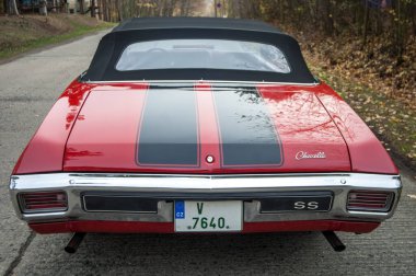 Ford Mustang Mustang sergileniyor