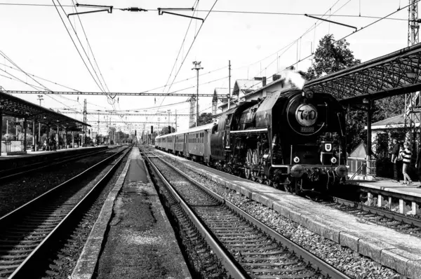 Trenin Siyah Beyaz Fotoğrafı — Stok fotoğraf