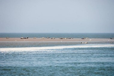 Deniz ve okyanus manzarası