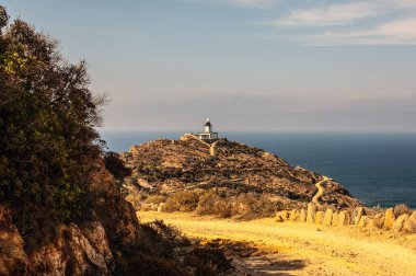 Ağaçlı bir tepede deniz feneri