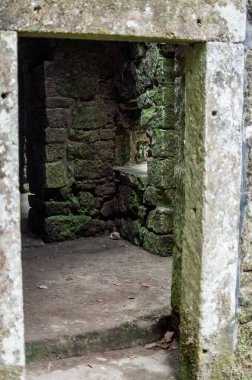 Ormandaki eski taş ev.