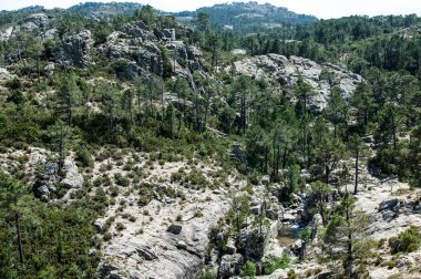 Dağ büyük Thach doğal park