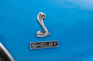 Arabanın kaputunda araba logosu var..