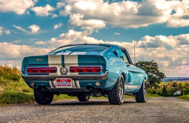 Ormandaki mavi araba.