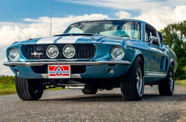 Ford Mustang Mustang yolda