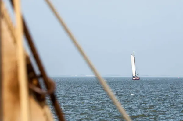 White Sail Boat Sea — 스톡 사진