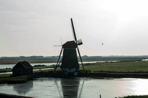 Větrný Mlýn Holandském Venkově — Stock fotografie