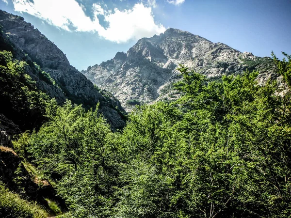 Beaux Paysages Montagne Été Dans Les Montagnes Caucase Russie Nature — Photo
